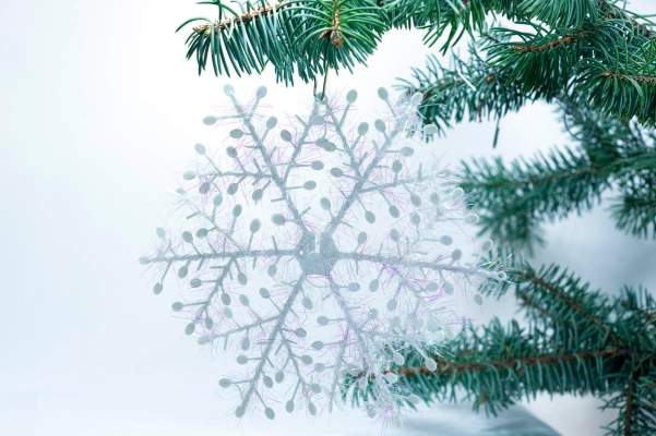 Grand flocon de neige à branche.